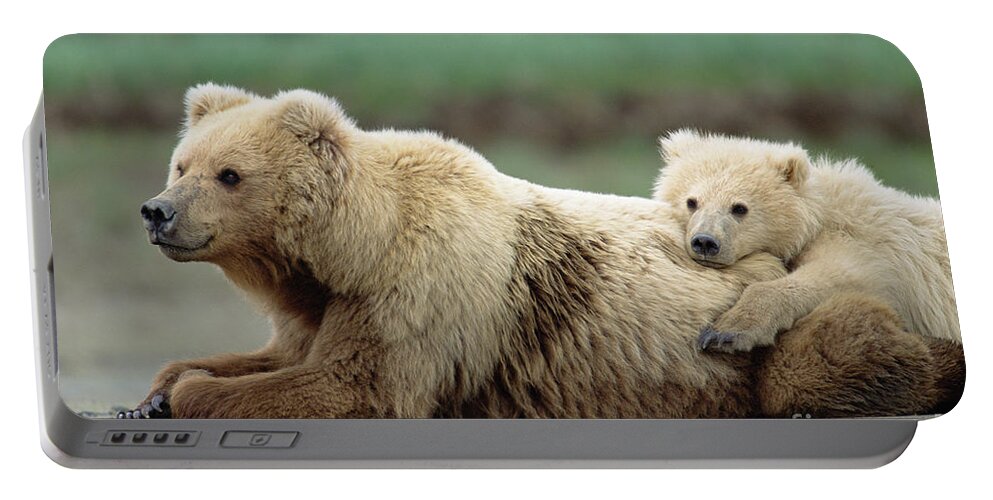 00345267 Portable Battery Charger featuring the photograph Grizzly Mother And Son by Yva Momatiuk John Eastcott