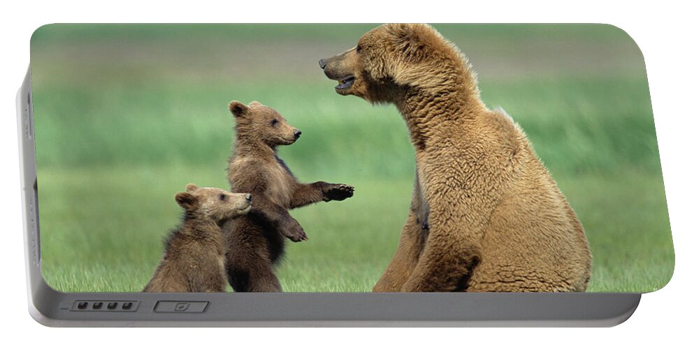 00345262 Portable Battery Charger featuring the photograph Grizzly Cubs with Mother by Yva Momatiuk and John Eastcott