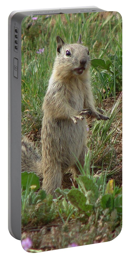 Wildlife Portable Battery Charger featuring the photograph Ground Squirrel by Carl Moore