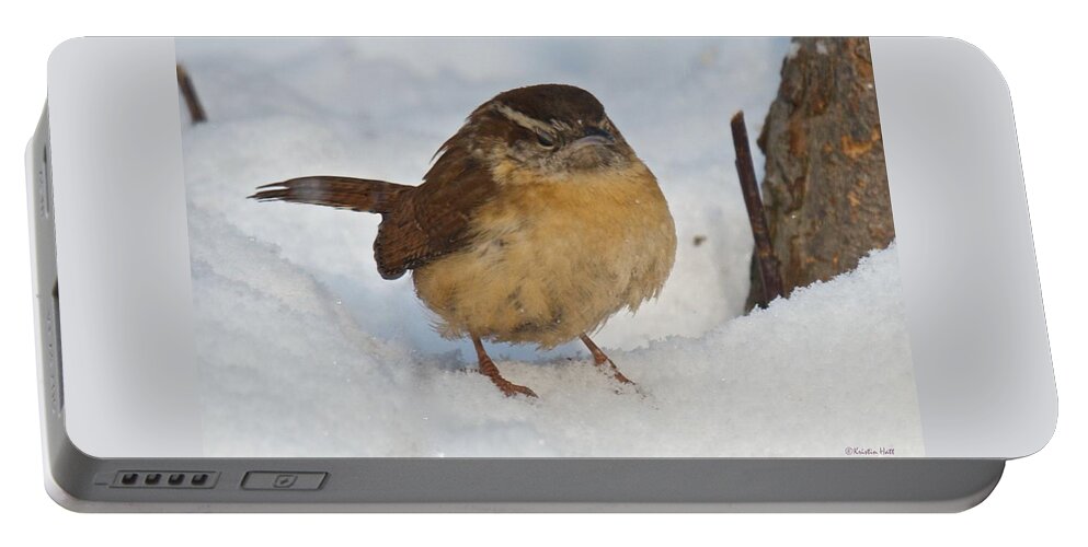 Birds Portable Battery Charger featuring the photograph Grumpy Wren by Kristin Hatt