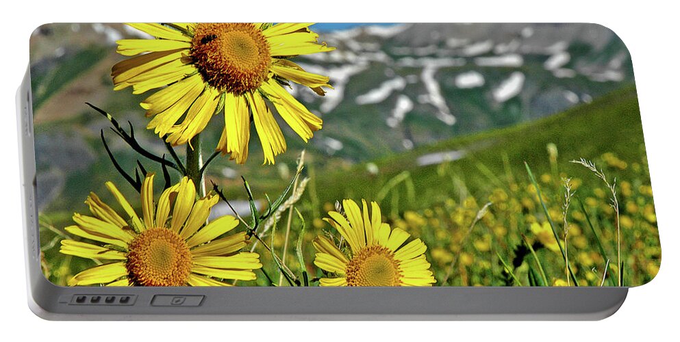 Guardian Of The Mountain Top Portable Battery Charger featuring the photograph Guardian of the Mountain Top by George Buxbaum