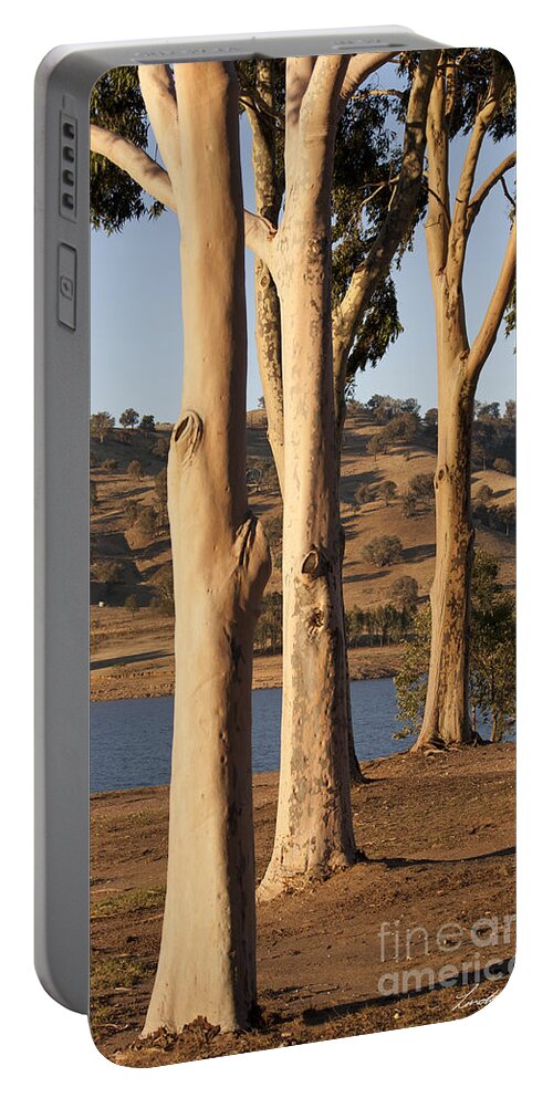  Tree Portable Battery Charger featuring the photograph Guardians of the Lake by Linda Lees