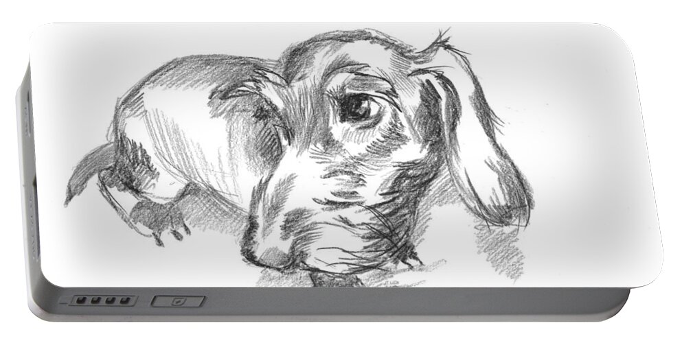 Dachshund Portable Battery Charger featuring the drawing Guilty-looking young wire-haired dachshund by Alena Nikifarava