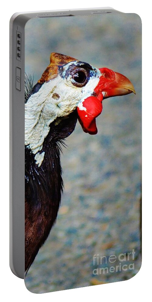 Bird Portable Battery Charger featuring the photograph Guinea Hen by Tamara Michael
