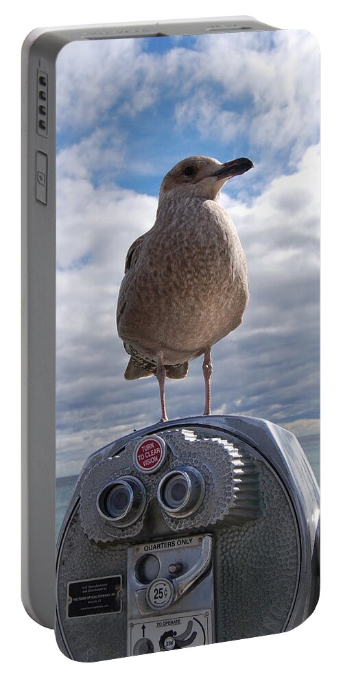 Seagull Portable Battery Charger featuring the photograph Gull by Mim White
