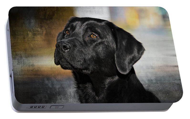 Dog Portable Battery Charger featuring the photograph Handsome Black Lab by Eleanor Abramson