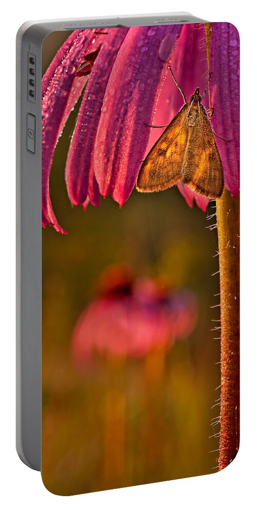 2012 Portable Battery Charger featuring the photograph Hanging out to Dry by Robert Charity