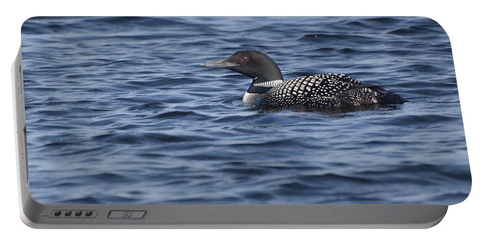 Loon Portable Battery Charger featuring the photograph Happy as a Loon by Vivian Martin