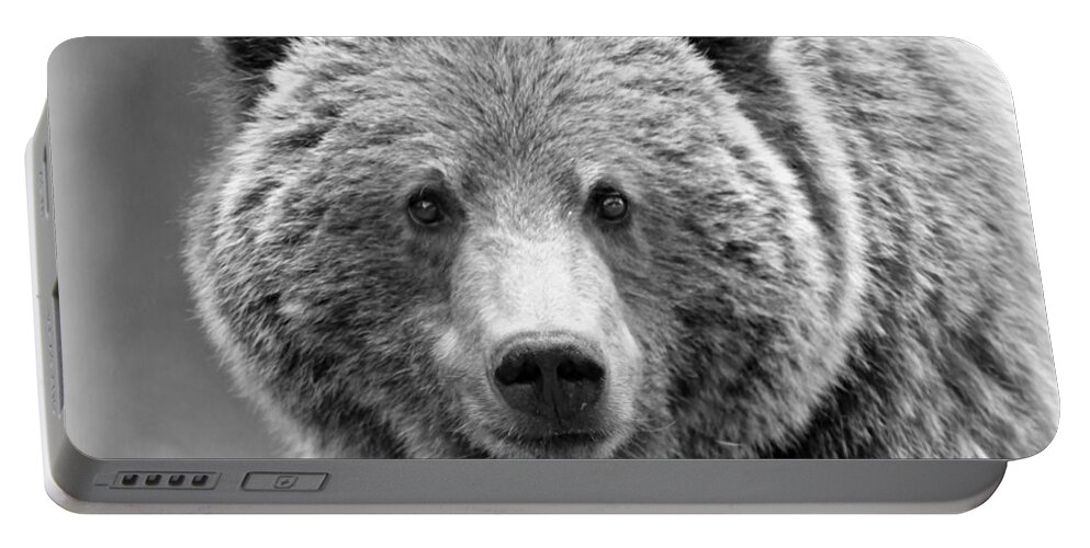 Bear Portable Battery Charger featuring the photograph Happy Bear by Stephen Stookey