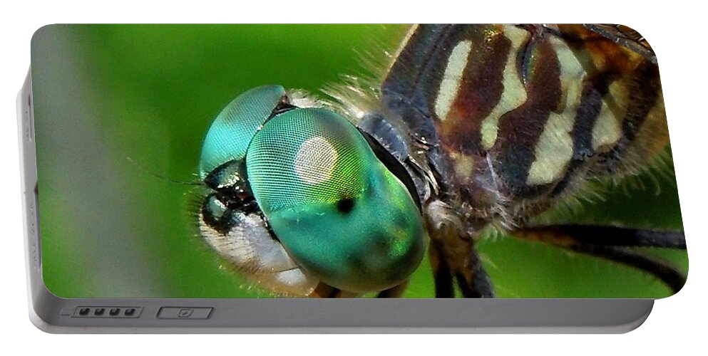 Dragonfly Portable Battery Charger featuring the photograph Happy Dragonfly by Renee Trenholm