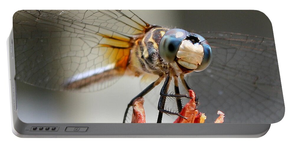 Nature Portable Battery Charger featuring the photograph Happy Dragonfly by William Selander