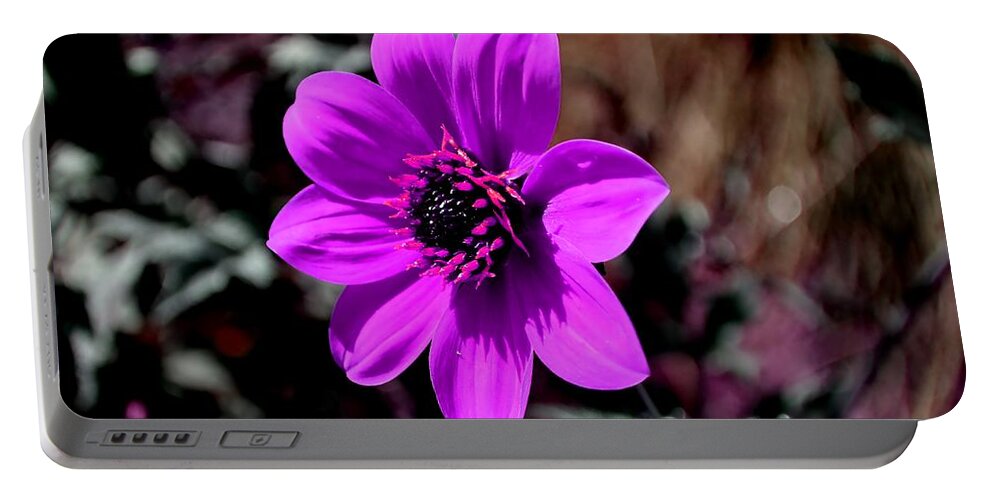 Flower Portable Battery Charger featuring the photograph Happy Single Juliet by Deena Stoddard