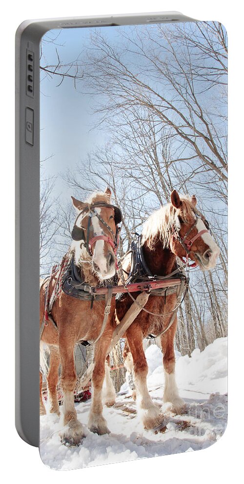 Maple Syrup Portable Battery Charger featuring the photograph Hard Working Horses by Cheryl Baxter