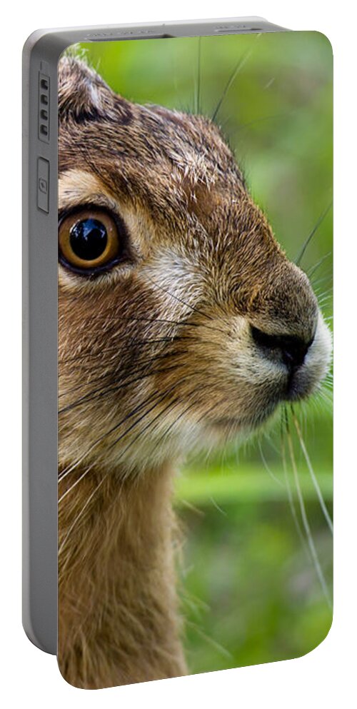 Hare Portable Battery Charger featuring the photograph Hare by Torbjorn Swenelius