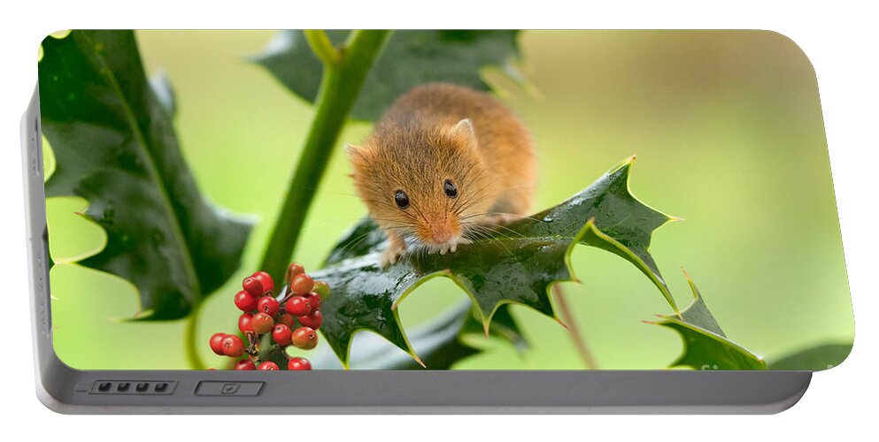 Mouse Portable Battery Charger featuring the photograph Harvest Mouse at Christmas by Louise Heusinkveld