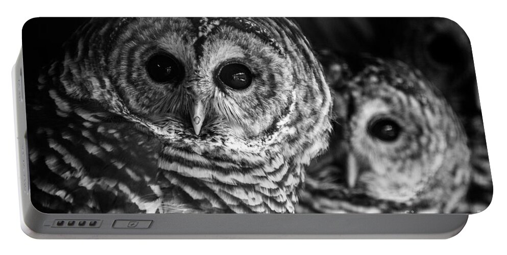 Barred Owl Portable Battery Charger featuring the photograph Helen Stares by David Rucker