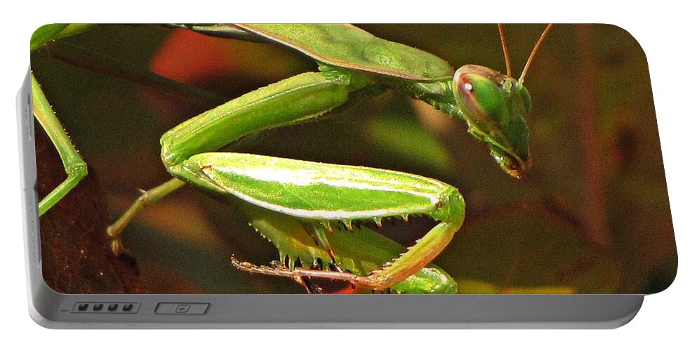 Praying Mantis Portable Battery Charger featuring the photograph Hello Praying Mantis by MTBobbins Photography