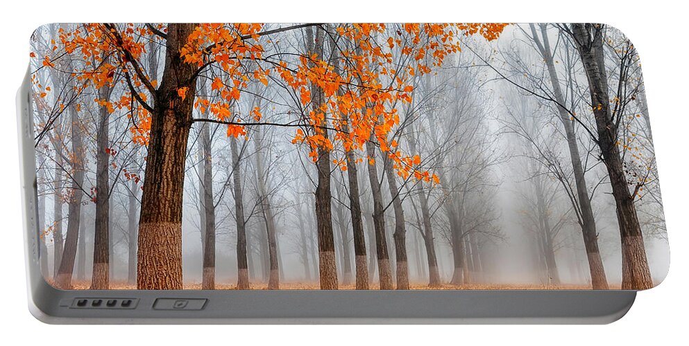 Bulgaria Portable Battery Charger featuring the photograph Heralds Of Autumn by Evgeni Dinev