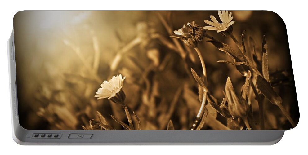 Daisy Portable Battery Charger featuring the photograph Here Comes The Sun by Clare Bevan