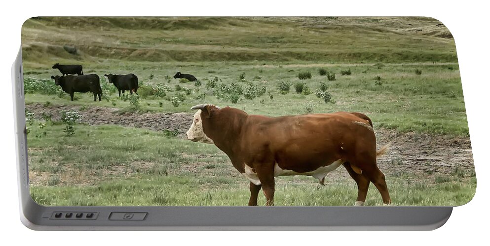 Bull Portable Battery Charger featuring the photograph Hereford Bull by Alan Hutchins