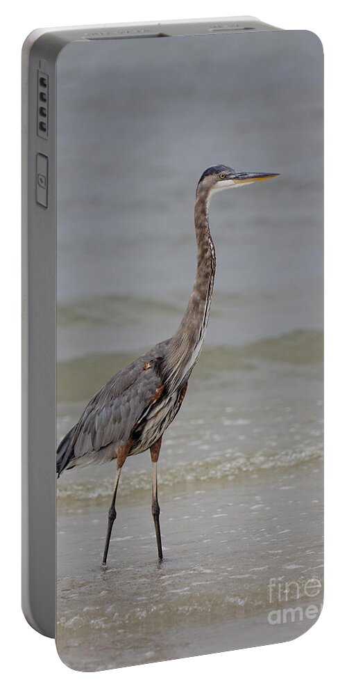 Great Blue Heron Portable Battery Charger featuring the photograph Heron by Rick Kuperberg Sr