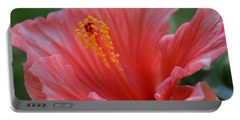 Hibiscus Portable Battery Charger featuring the photograph Hibiscus Beauty by Linda Bailey