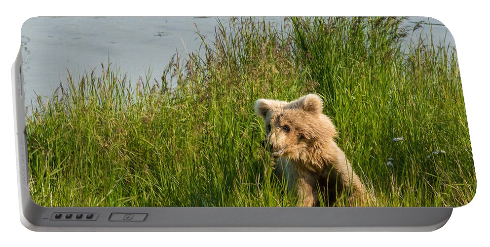 Alaska Portable Battery Charger featuring the photograph Hiding in Tall Grass by Joan Wallner