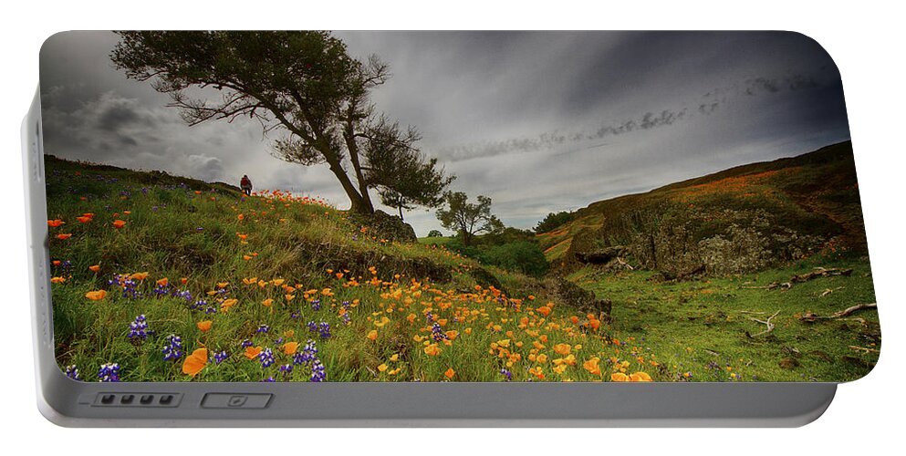 Flower Portable Battery Charger featuring the photograph Hiking On Table Mountain by Robert Woodward