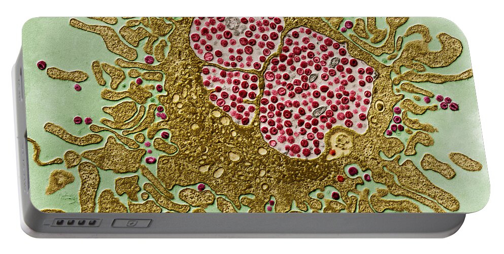 Viruses Portable Battery Charger featuring the photograph Hiv And Lymphocyte, Tem by Eye of Science