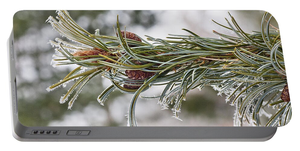 Arboretum Portable Battery Charger featuring the photograph Hoar Frost by Steven Ralser