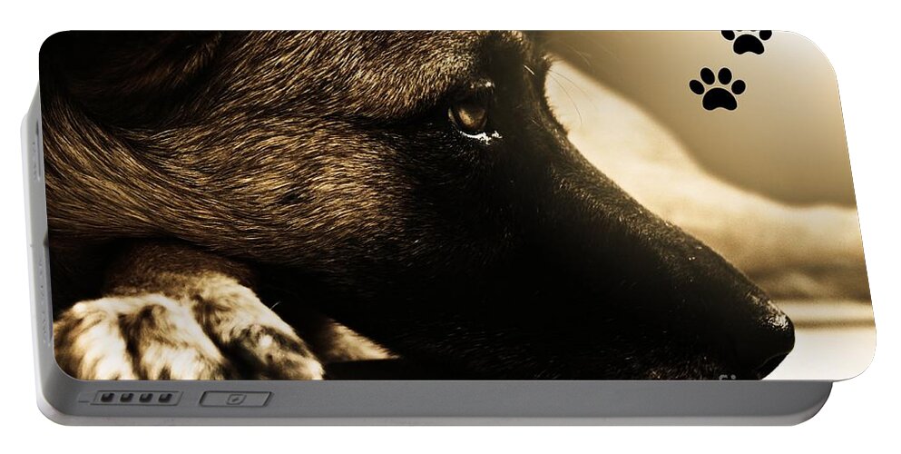 Dogs Portable Battery Charger featuring the photograph Home is Where The Dog Is by Clare Bevan