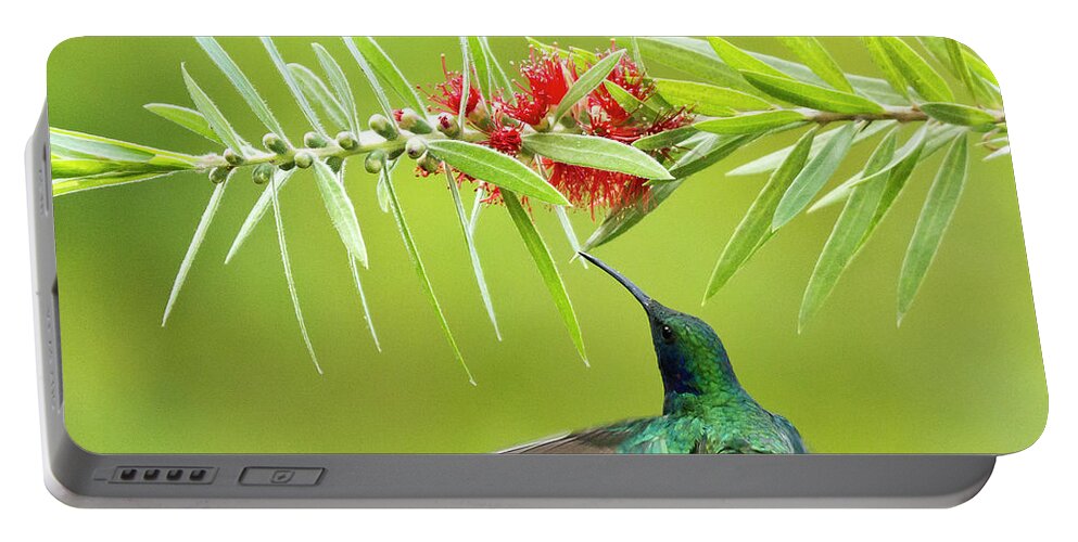 Bird Portable Battery Charger featuring the photograph Honey Sucking by Heiko Koehrer-Wagner