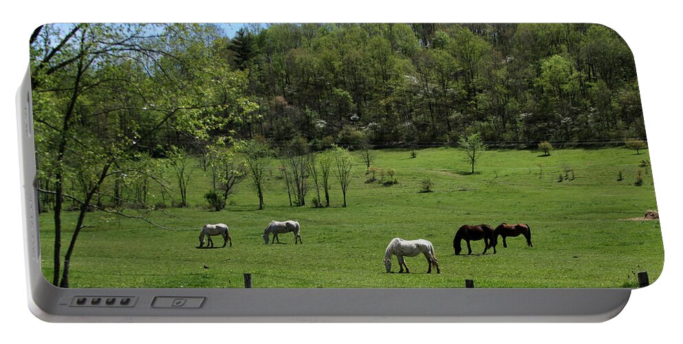 Green Pasture Portable Battery Charger featuring the photograph Horse 27 by David Yocum