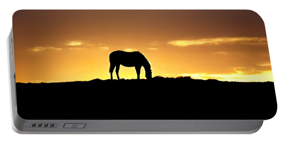 Sunrise Portable Battery Charger featuring the photograph Horse at Sunrise by Alan Hutchins