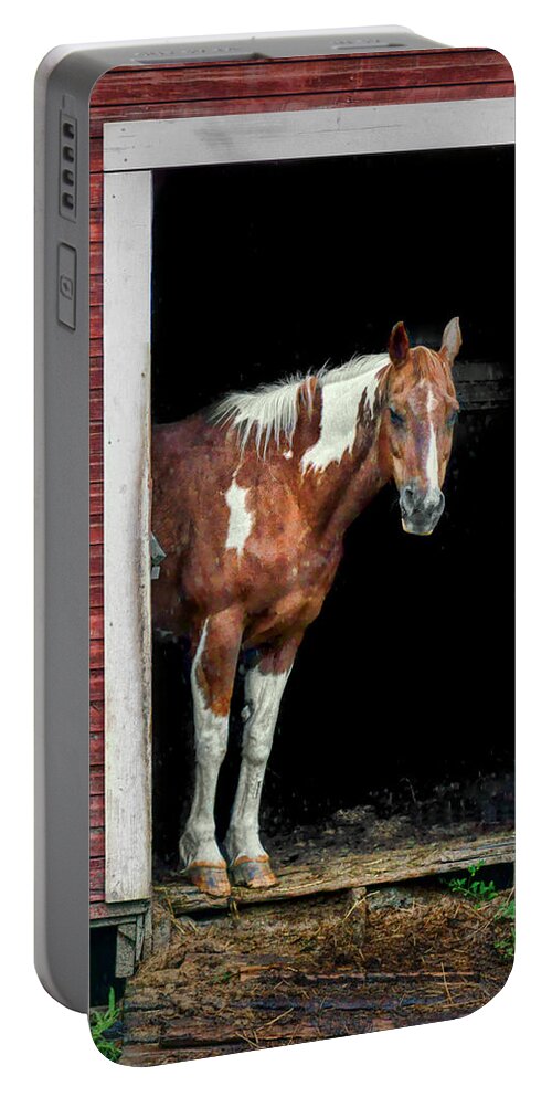 Horse Portable Battery Charger featuring the photograph Horse - Barn Door by Nikolyn McDonald