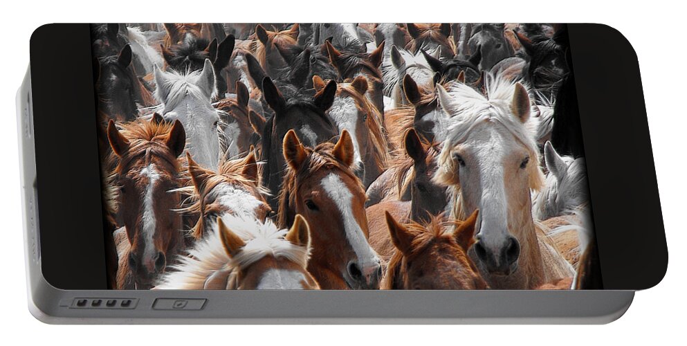 Horse Portable Battery Charger featuring the photograph Horse Faces by Kae Cheatham