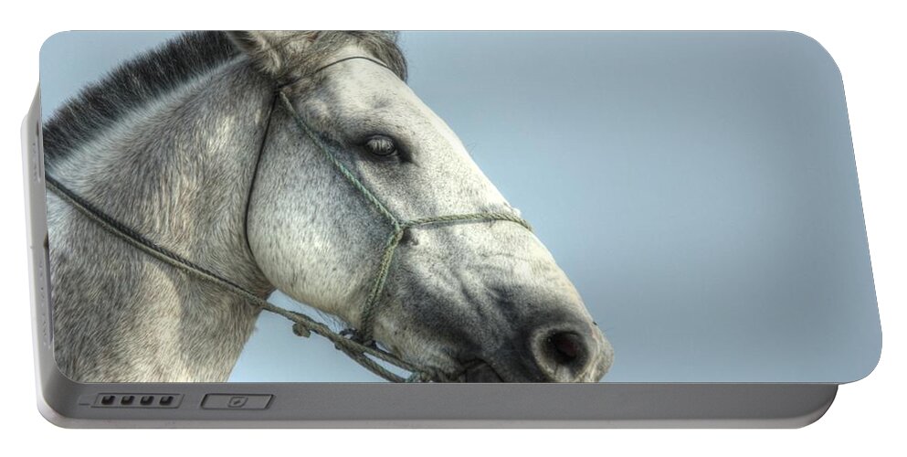 Horse Portable Battery Charger featuring the photograph Horse head-shot by Eti Reid