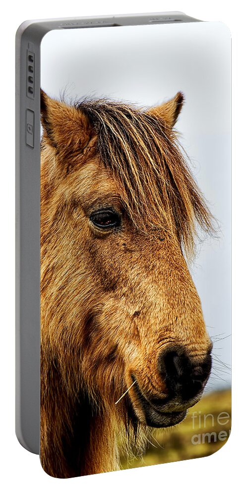 Horse Canvas Portable Battery Charger featuring the photograph Horses Head by Chris Thaxter