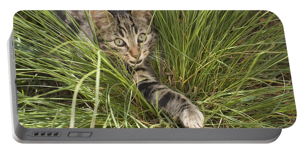 Feb0514 Portable Battery Charger featuring the photograph House Cat Hunting In Grass Germany by Konrad Wothe