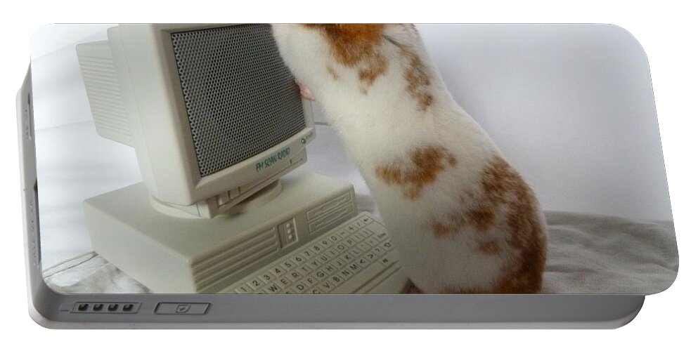 Hamster Portable Battery Charger featuring the photograph How do you switch on this screen? by Vicki Spindler