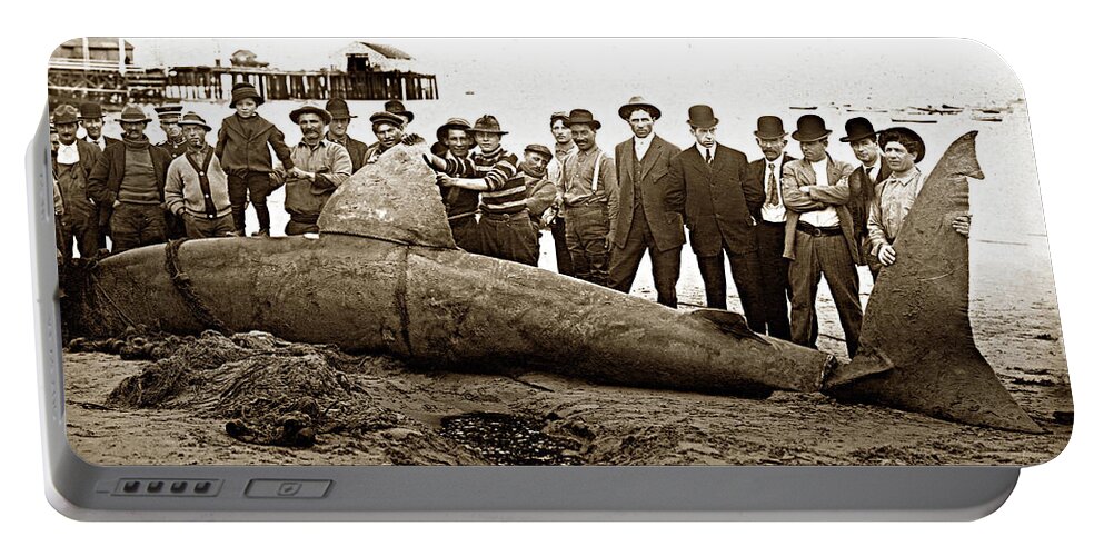 Huge Portable Battery Charger featuring the photograph Huge Basking Shark near Fishermans Wharf Monterey California circa 1912 by Monterey County Historical Society