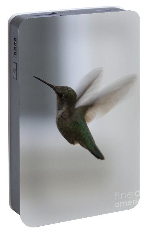 Hummingbird Portable Battery Charger featuring the photograph Hummingbird in Flight by Carol Groenen