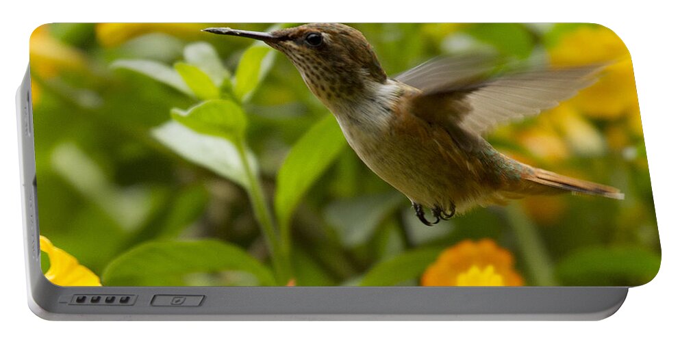Bird Portable Battery Charger featuring the photograph Hummingbird looking for food by Heiko Koehrer-Wagner