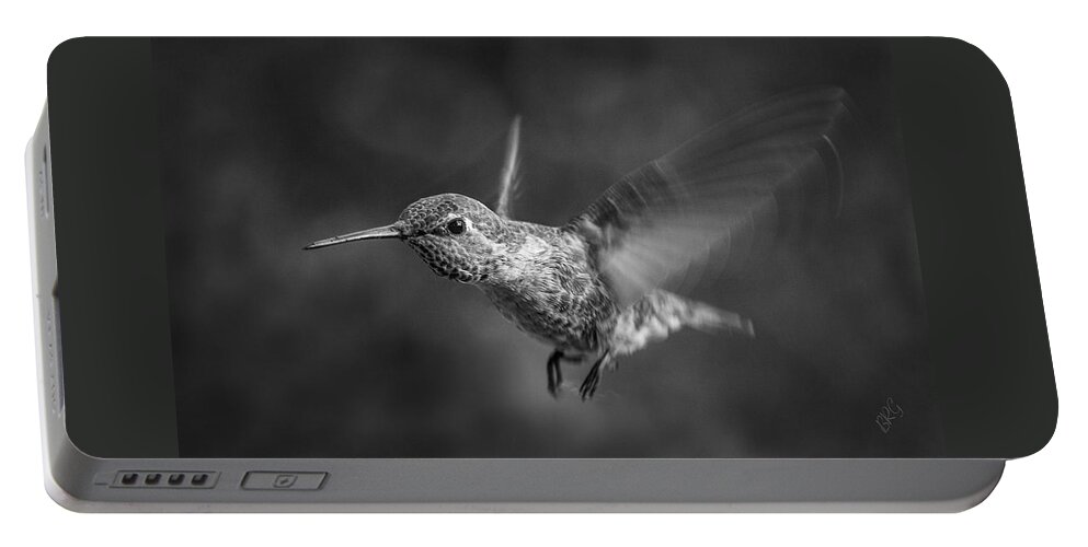 Bird Portable Battery Charger featuring the photograph Hummingbird No 2 by Ben and Raisa Gertsberg