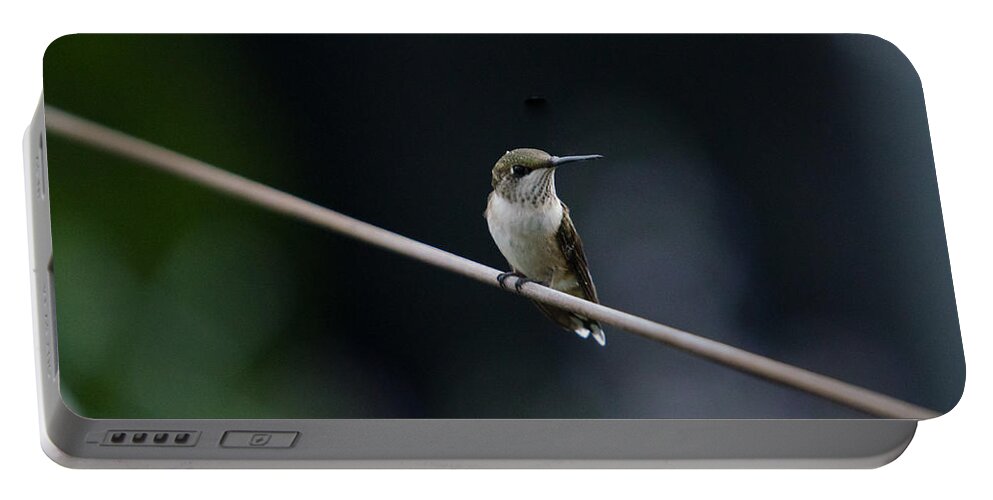 Bird Portable Battery Charger featuring the photograph Hummingbird on a Wire by Gary Wightman