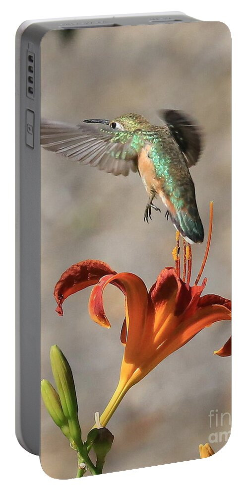 Hummingbird Portable Battery Charger featuring the photograph Hummingbird over the Daylily by Carol Groenen