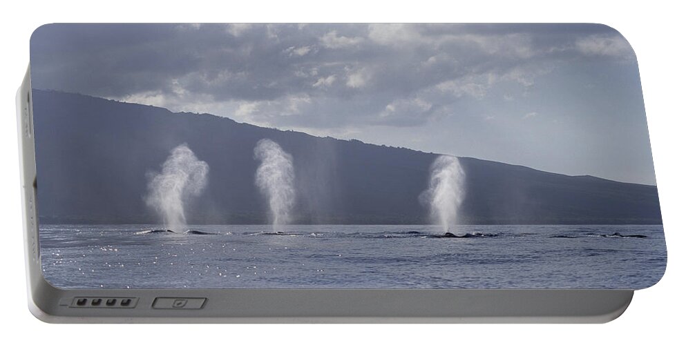 Feb0514 Portable Battery Charger featuring the photograph Humpback Whale Spouts Maui Hawaii by Flip Nicklin