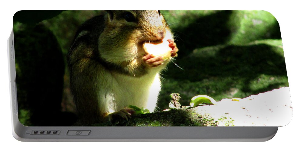 Chipmunk Portable Battery Charger featuring the photograph Hungry Hungry Chipmunk by Kimberly Mackowski