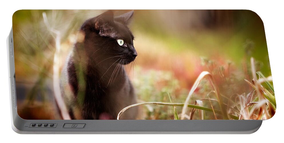 Cat Portable Battery Charger featuring the photograph Hunter by Ian Good