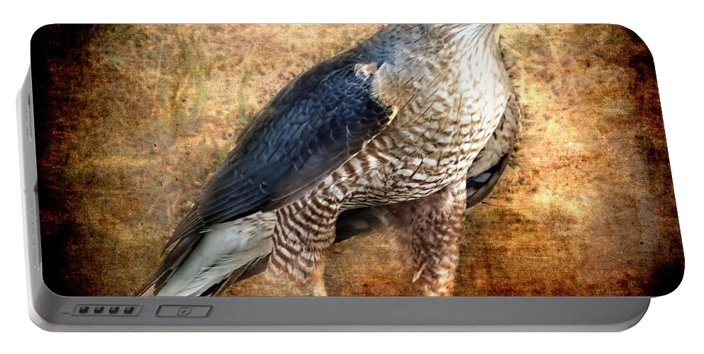  Portable Battery Charger featuring the photograph Hunting Hawk by Melissa Bittinger
